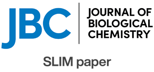 JBC SLIM Paper