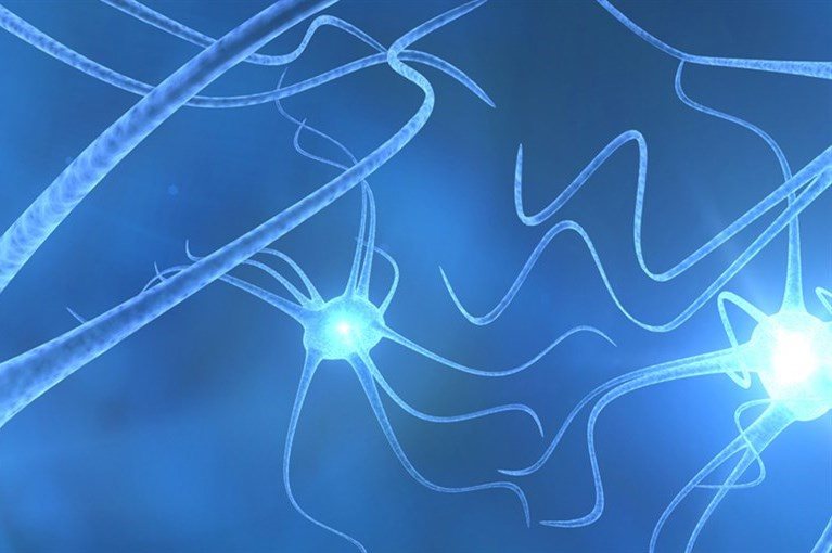 Optogenetics: An Illuminating New Tool in Neuroscience